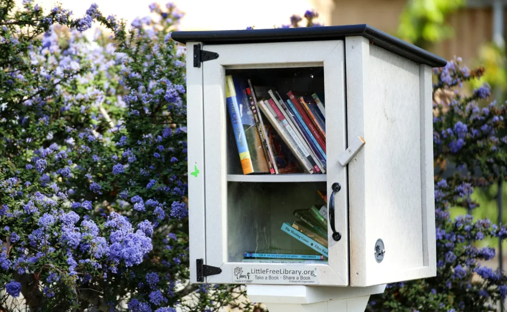 a-white-mailbox-with-a-bunch-of-books-in-it-scaled-1-1024x631 أهمية التعليم المبكر: تأثير رياض الأطفال على تطور الطفل